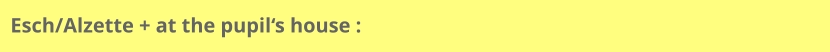 Esch/Alzette + at the pupil‘s house :